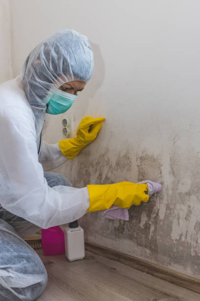 Best Airborne Mold Testing  in Highgrove, CA