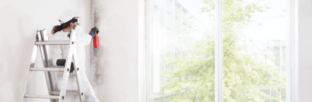 Best Mold-Related Health Consultation  in Highgrove, CA